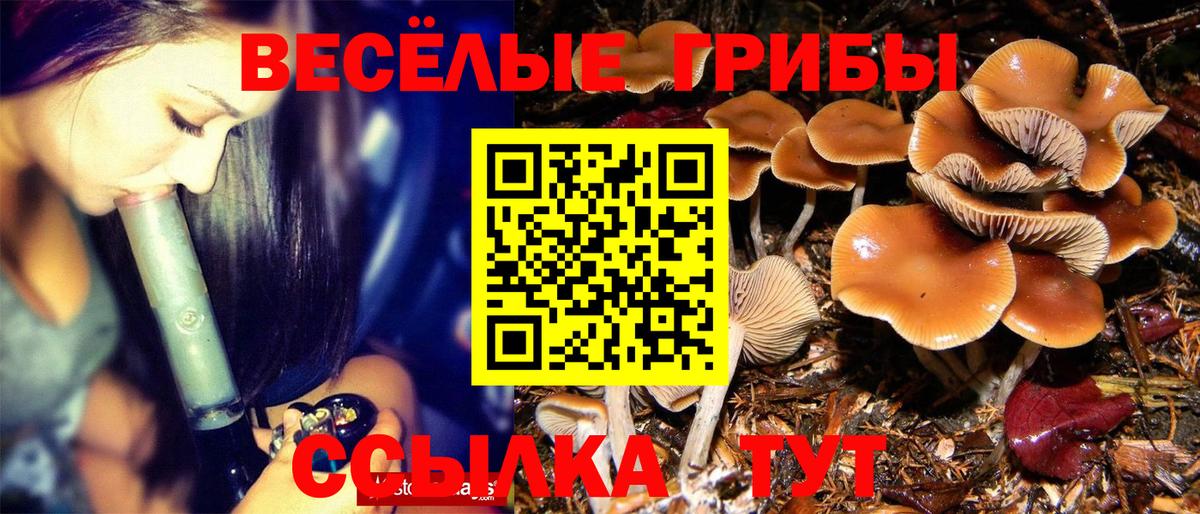 Псилоцибиновые грибы Psilocybine cubensis Красный Сулин