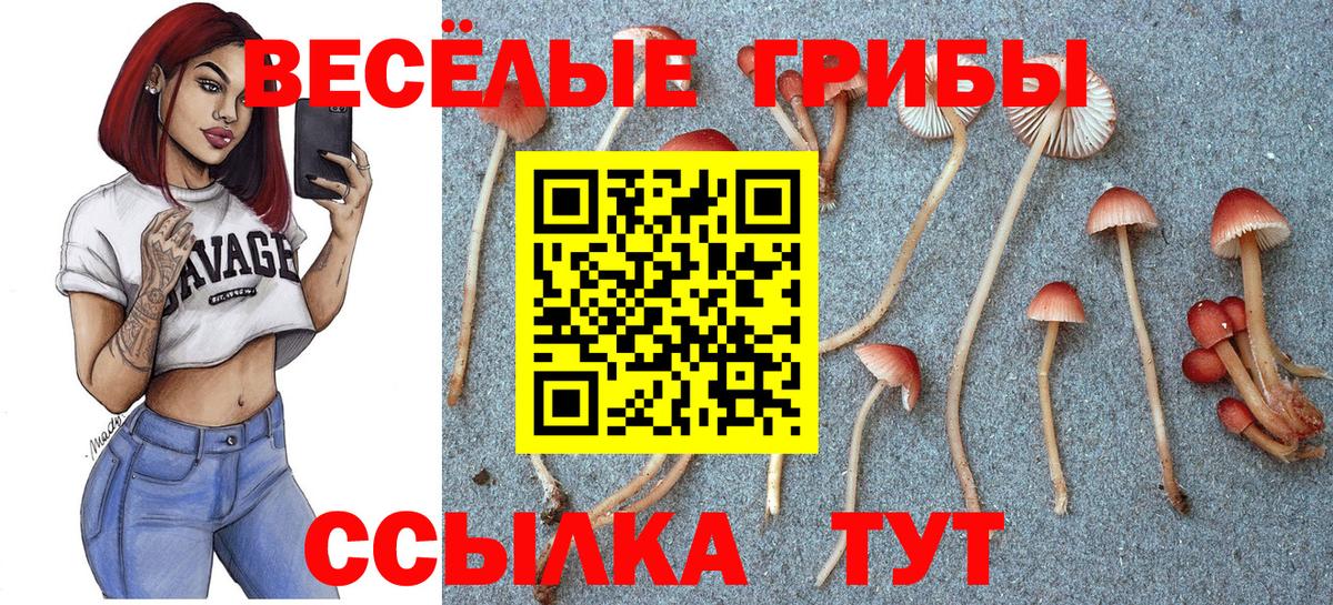 Красный Сулин  Галлюциногенные грибы мицелий  Псилоцибиновые грибы Magic Shrooms  Вход с VPN 